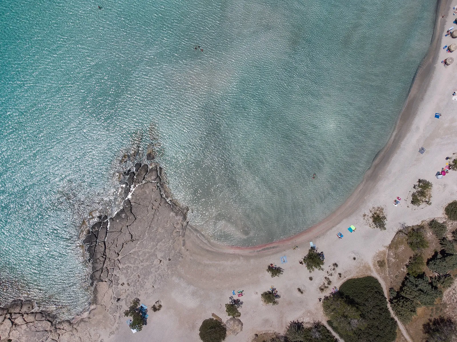 A pine-fringed sandy beach meeting calm clear water on the Halkidiki peninsula in northern Greece