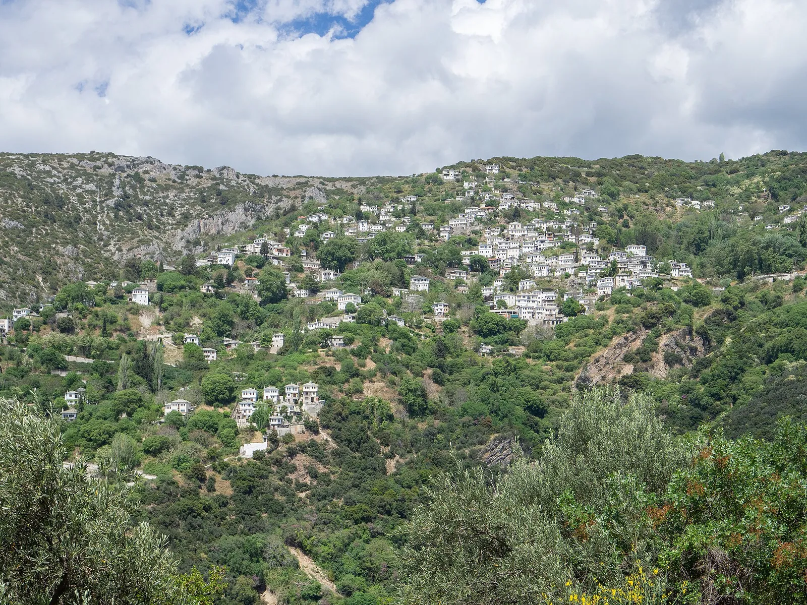 הכפר מקריניצה בפיליון יוון, בתים מסורתיים פזורים על מדרון הר ירוק