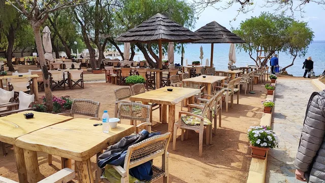 Wooden tables and wicker chairs under trees and straw umbrellas, facing a blue bay