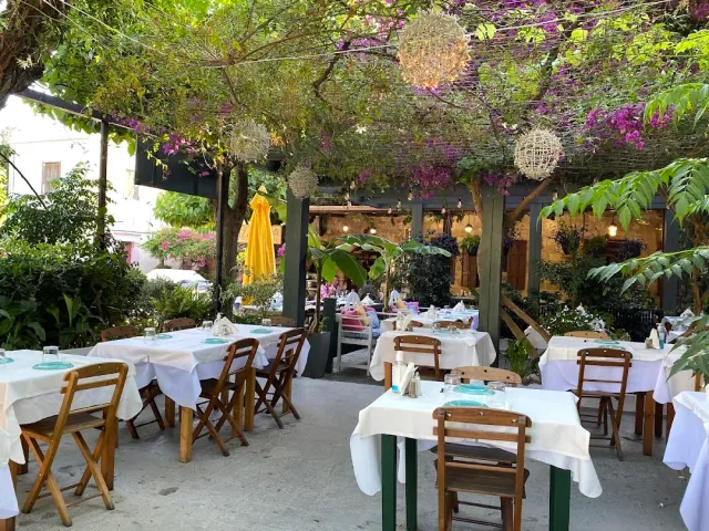 A courtyard shaded by vines and bougainvillea, with white clothed tables and wooden chairs