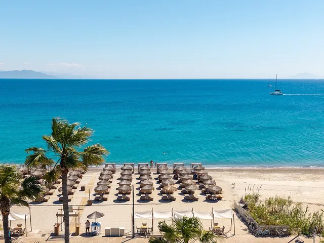 Rows of straw umbrellas on a sandy beach facing a blue sea, with palm trees in front