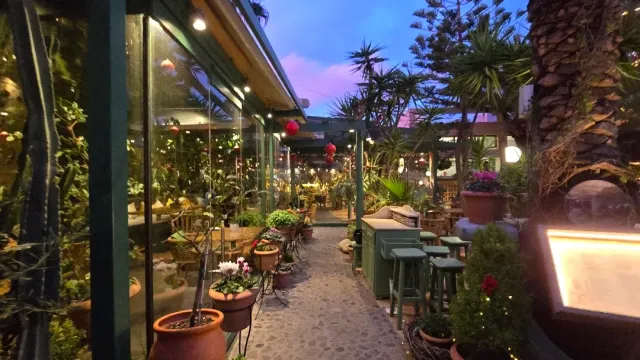 A narrow path between dozens of pots in the evening, with a glass greenhouse and stools