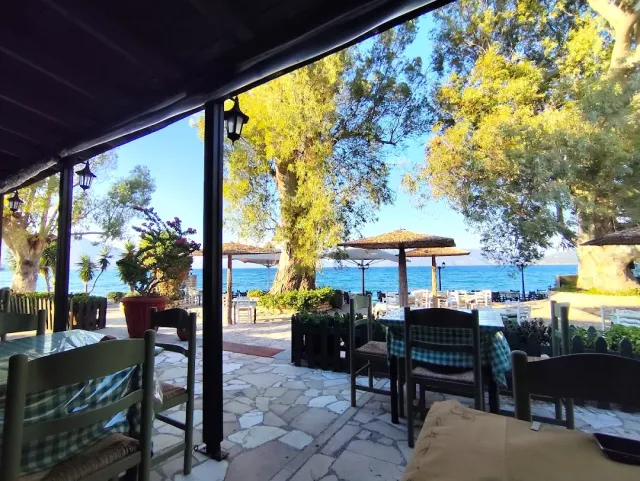 A view from under a pergola toward outdoor tables, straw parasols and trees at the waterline