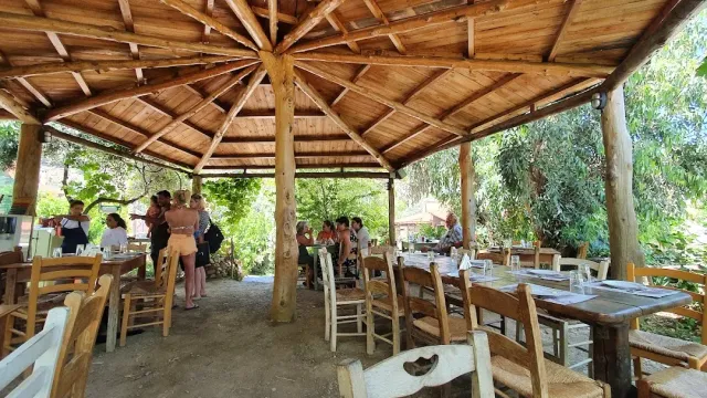An open timber pavilion with roof beams, rustic tables and white chairs amid greenery