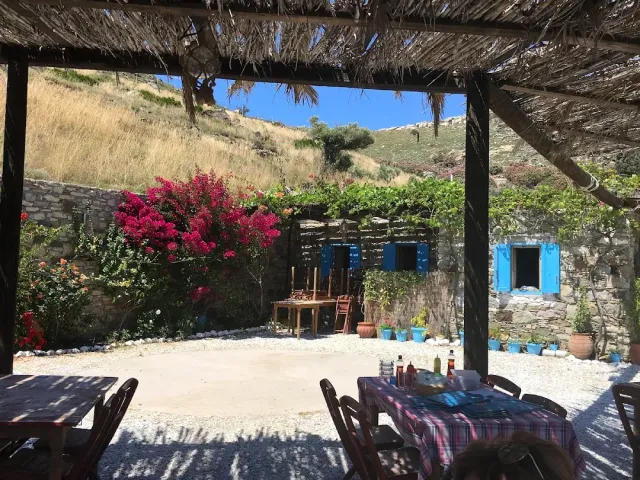 A view from under a reed canopy onto a courtyard with bougainvillea and blue shuttered windows