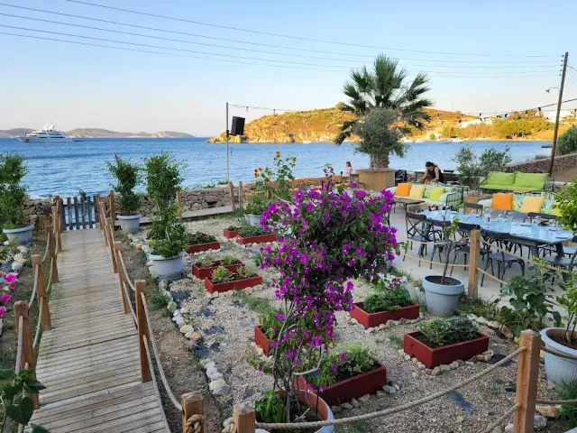 A vegetable garden with raised beds and bougainvillea, and blue sea in the background