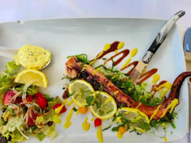 A grilled octopus tentacle on a white platter with lemon slices, salad and sauces
