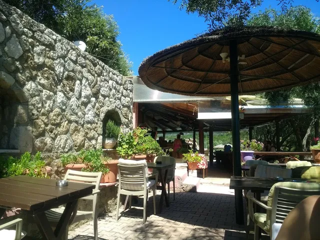 A paved courtyard with tables, potted plants and a stone wall, shaded by a large straw parasol