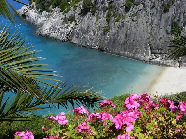 A small cove of turquoise water between cliffs, with pink flowers in the foreground