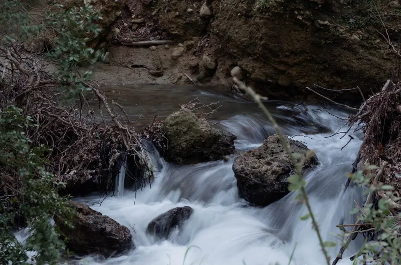 A stream running over rocks in a shaded, green ravine