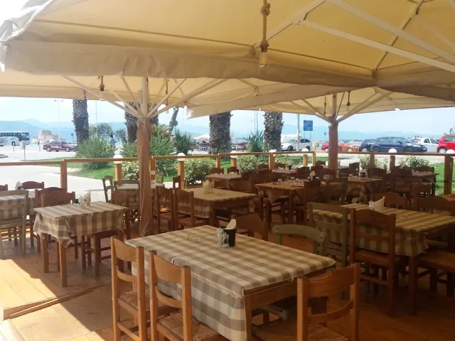 Tables in checked cloths under large parasols, with palms and a road behind