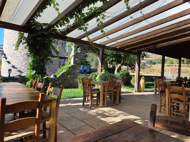 A covered terrace with a climbing vine, long wooden tables and a stone building with an arch