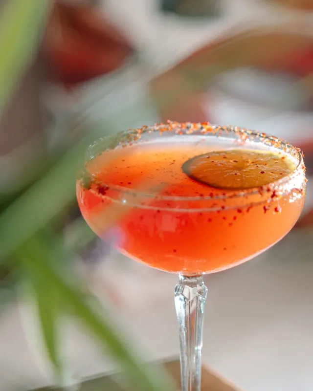 An orange cocktail glass with a dried citrus slice and a spiced rim against a blurred background
