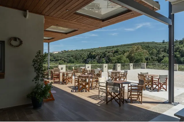 A wide terrace with wooden director's chairs, facing a green hill of olive trees