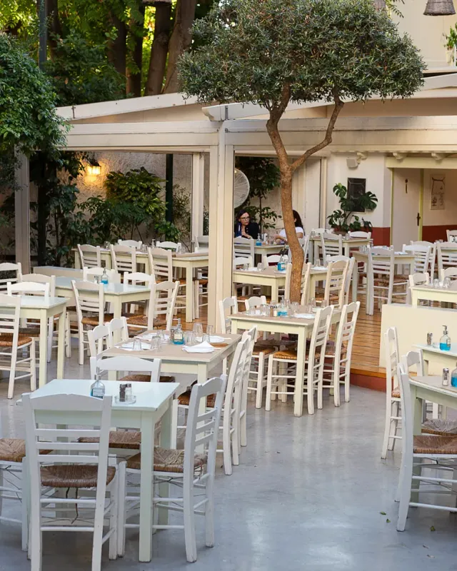 A courtyard with white tables and rush chairs, around a tree planted in the middle