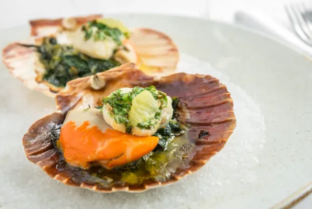 Two scallops served in their shells on coarse salt, with green leaves and sauce