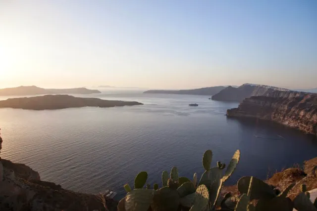 A view from the cliff edge over a wide bay in low light, with a prickly pear in front