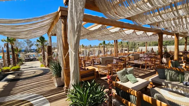 A wooden pergola with fabric drapes, cushioned sofas, pillows and palms against a blue sky