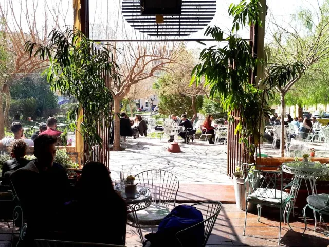 A shaded courtyard with white metal chairs, large potted plants and many people seated