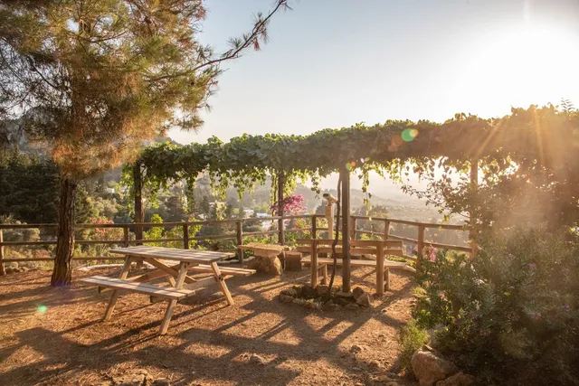 Wooden picnic tables under a vine-covered pergola, with a view over the valley in sunset light