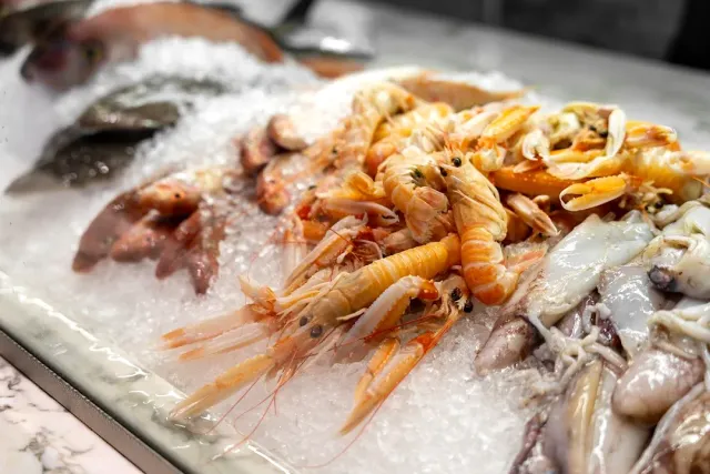 A seafood display on crushed ice with prawns, squid and whole fish
