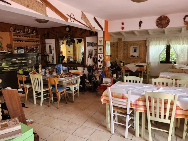 A cluttered rustic interior with shelves and objects, tables with striped cloths and pale green chairs