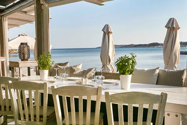 A laid white table on a seaside terrace, pale chairs, basil pots and closed parasols