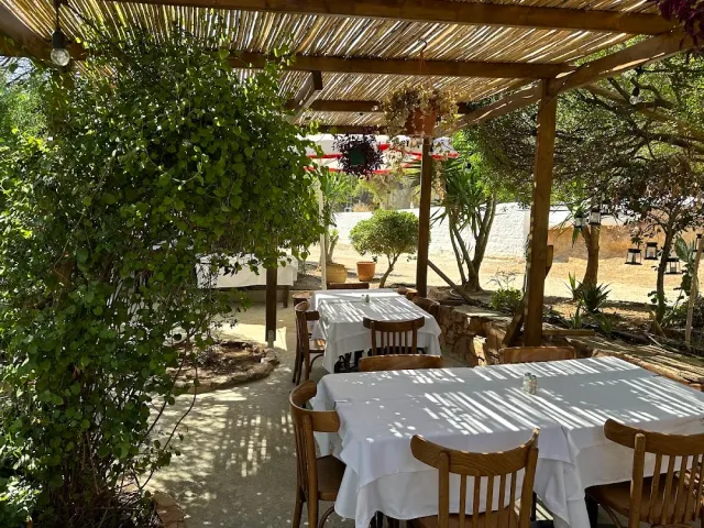 A reed pergola with white clothed tables, wooden chairs and a climbing vine in dappled shade