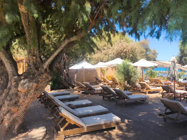 Wooden sun loungers in the shade of tamarisk trees on a deck, with white umbrellas toward the sea