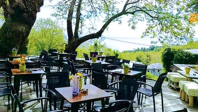 Black metal tables and chairs under large trees, with a green view behind