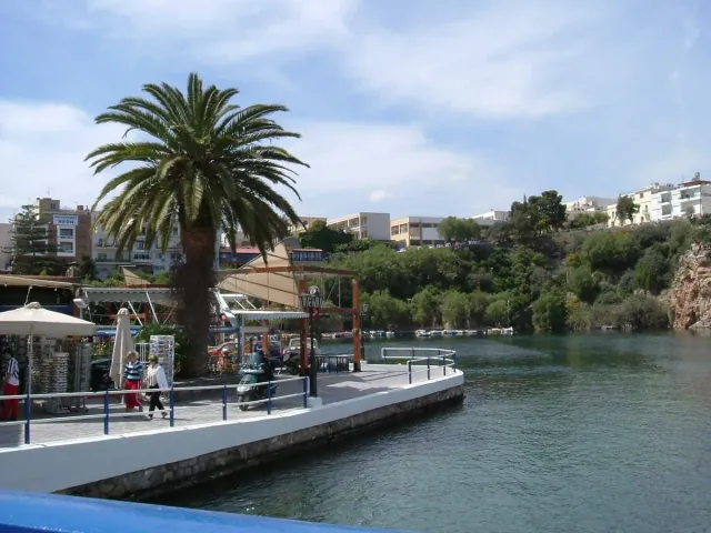 A round lake in the middle of a town, with a promenade, boats and a tall palm