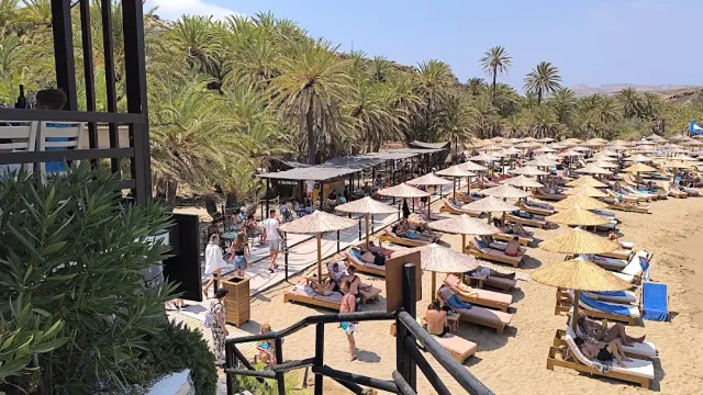 A view over a sandy beach with rows of straw parasols and sunbeds before a palm grove