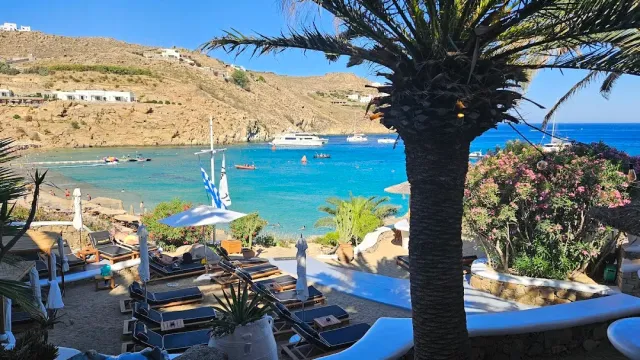 A turquoise bay with sunbeds and boats, and a tall palm at the front of the frame