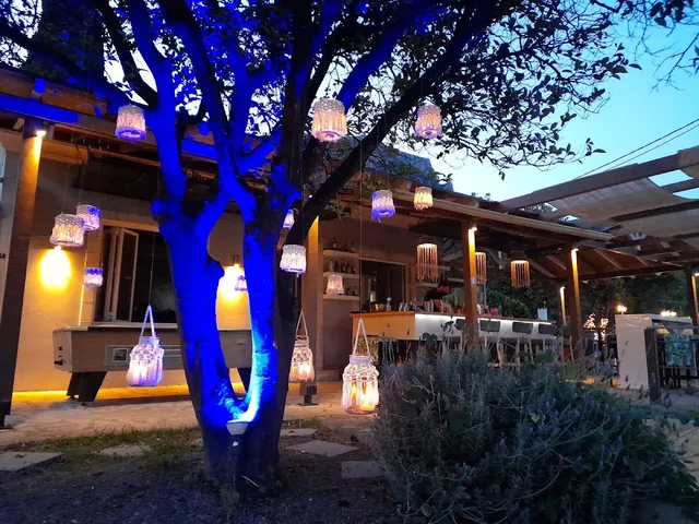 A tree lit in blue hung with small lanterns, in front of an open courtyard bar in the evening