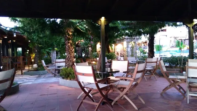 Wooden director's chairs on reddish paving, among palm trees and glowing lanterns in the evening