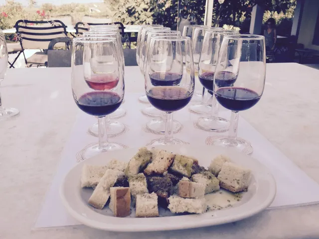 Glasses of red wine lined up on a table with a plate of bread pieces