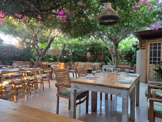 A garden with laid tables under trees and pink bougainvillea, and a hanging wicker lampshade