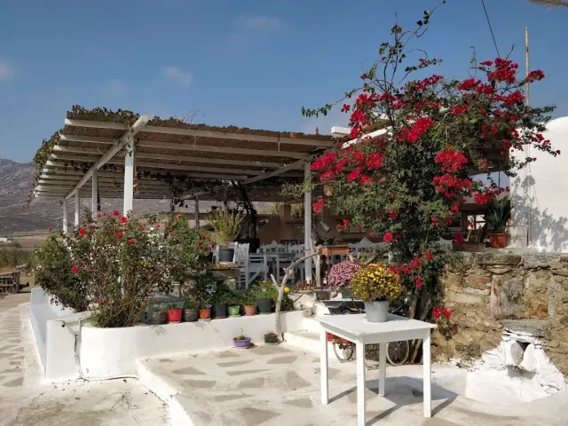 A whitewashed terrace with a wooden pergola, red bougainvillea, potted plants and a white table with flowers