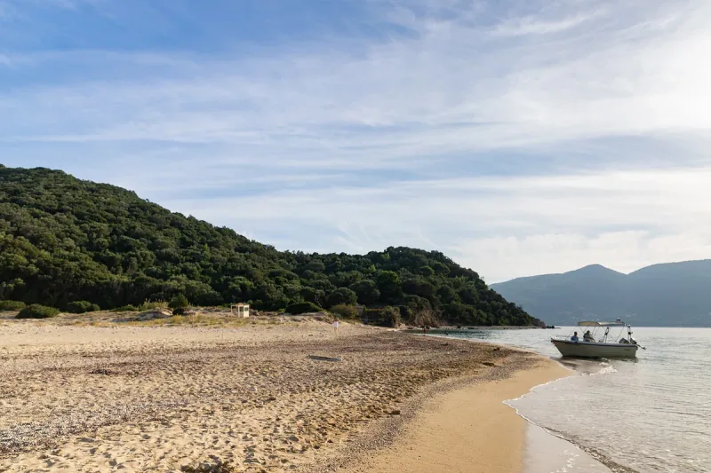 A golden sand beach below a wooded hill with a small boat in the shallows