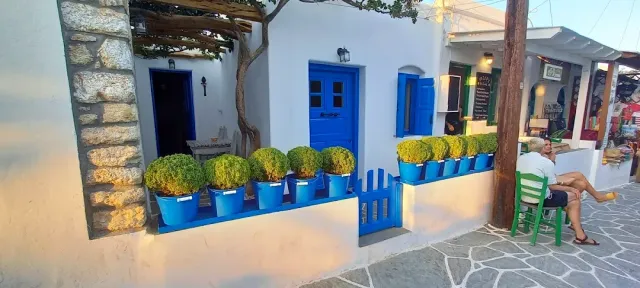 A white wall with blue doors, blue planters and round shrubs in a row