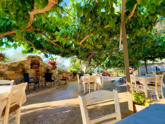 A shaded garden under a dense vine with white tables and chairs and a stone wall with pots