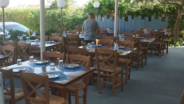 Wooden tables laid with blue plates and chairs in a yard, facing a grey fence and a hedge