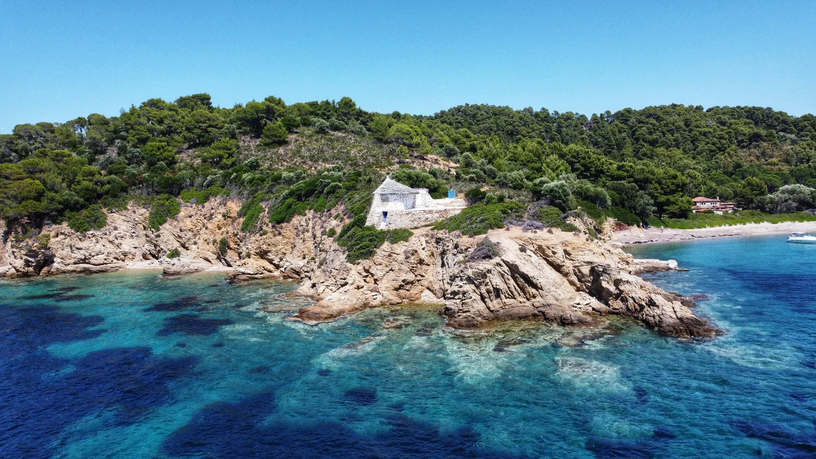 A pine-fringed sandy bay with turquoise water on Skiathos in the Sporades, Greece