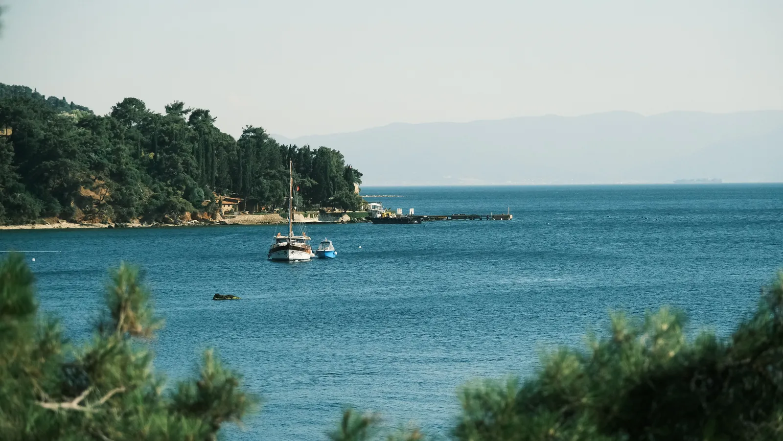 A wooden boat moored in a quiet bay with pine trees along the shoreline in the Sporades